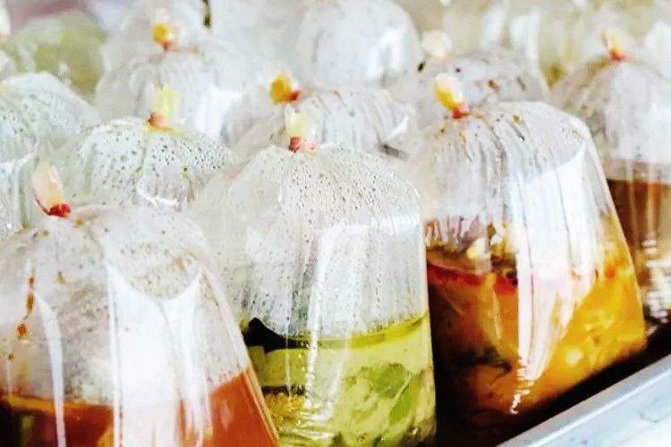 Harga Plastik Naik, Akademisi Umsura Ingatkan Bahaya untuk Kemasan Makanan