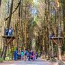Hutan Pinus Kragilan di Magelang: Daya Tarik, Harga Tiket, dan Jam Buka