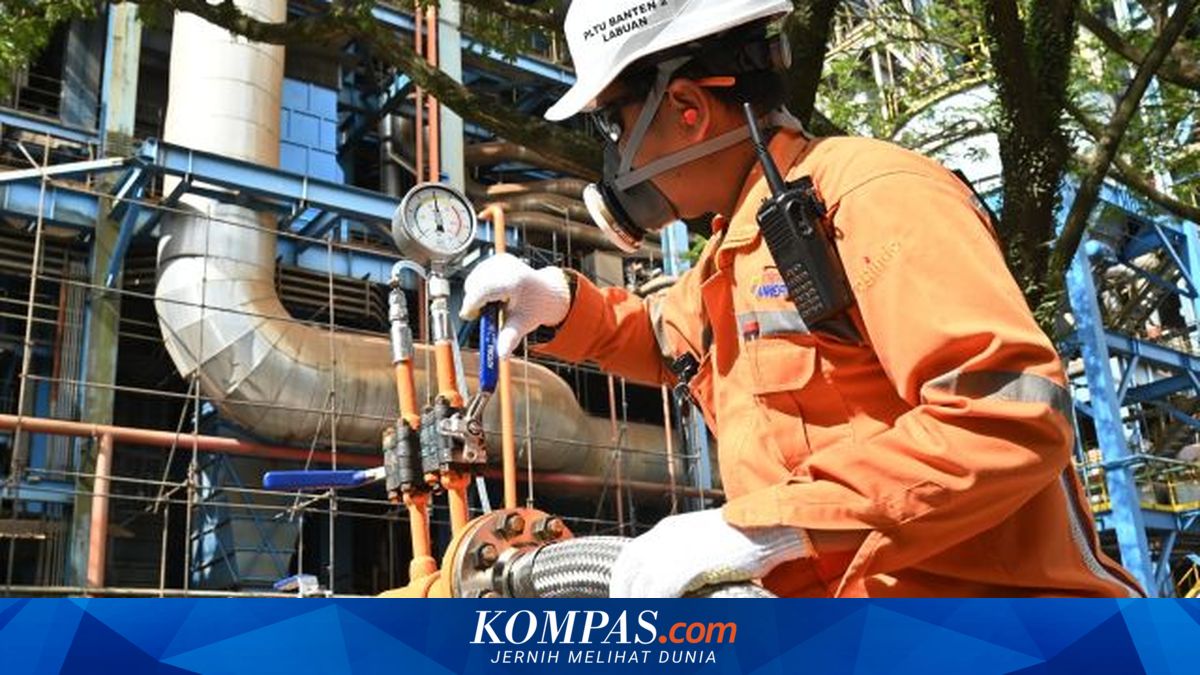 PLN Indonesia Power Uji Coba PLTU dengan Amonia Hijau, Bisa Kurangi ...