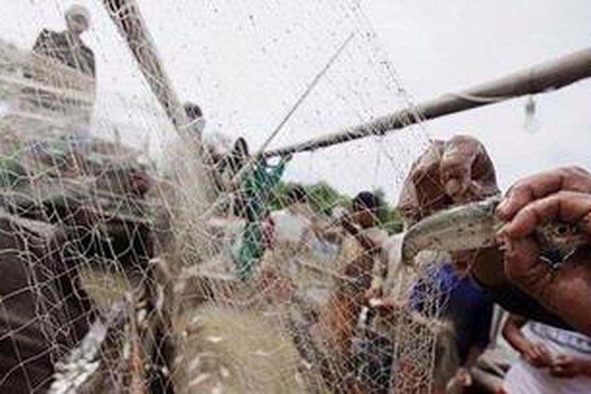 Nelayan Muaragembong mengumpulkan ikan hasil tangkapan di Dusun Muarajaya, Desa Pantai Mekar, Kecamatan Muaragembong, Kabupaten Bekasi, Jawa Barat, Minggu (27/3). Tangkapan ikan nelayan setempat menurun, salah satunya karena kualitas air yang bermuara ke lokasi tersebut tercemar beragam limbah.
