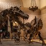 Apakah Dinosaurus Itu Nyata? Ini Penjelasannya!
