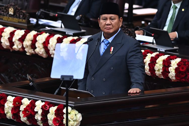Danantara Siapkan Dana untuk Proyek yang Butuh Waktu Puluhan Tahun