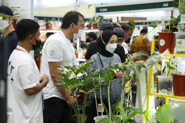 Pengunjung tengah melihat-lihat beberapa jenis tanaman di Floriculture Indonesia International (FLOII) Convex 2022, Sabtu (15/10/2022). Acara tersebut menghadirkan tanaman unik dan langka seharga ratusan juta rupiah. 
