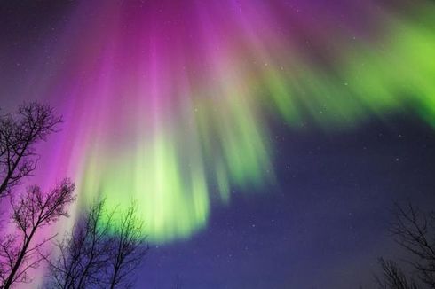 Ingin Lihat Aurora Borealis seperti Raffi dan Nagita? Simak Tips Berikut