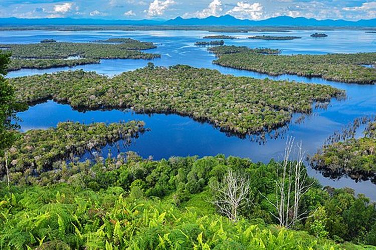 Danau Sentarum, obyek utama Taman Nasional Danau Sentarum, Kalimantan Barat. Taman Nasional Danau Sentarum merupakan kawasan konservasi lahan basah terbesar di Indonesia.