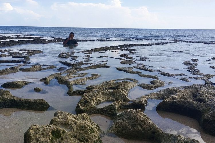 Kolam-kolam seperti sebuah persawahan di Pantai Liang Mbala, Kel. Kota Ndora, Kecamatan Borong, Kab. Manggarai Timur, NTT, Kamis, (5/5/2022). (KOMPAS.com/MARKUS MAKUR)
