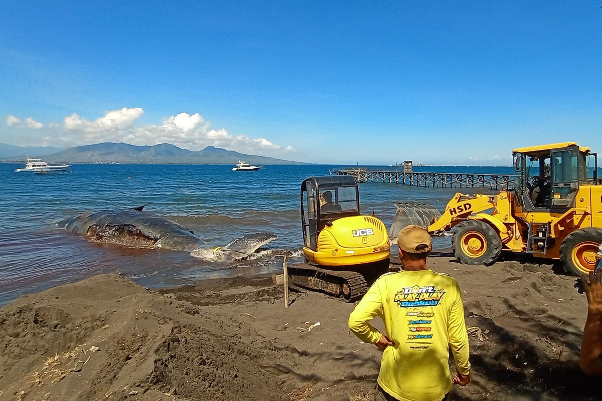 Petugas saat melakukan upaya evakuasi menggunakan alat berat 