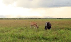 Pengelolaan Irigasi dan Drainase Dukung Ketahanan Pangan