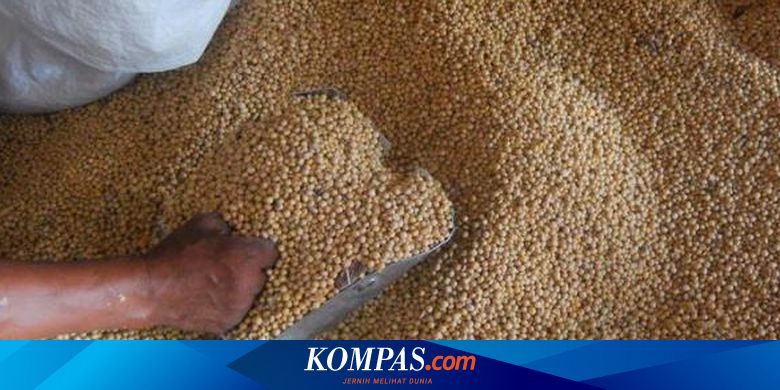 Harga Kedelai Dunia Turun, Kemendag Berharap Produsen Tempe Makin Bergairah - Kompas.com - Kompas.com