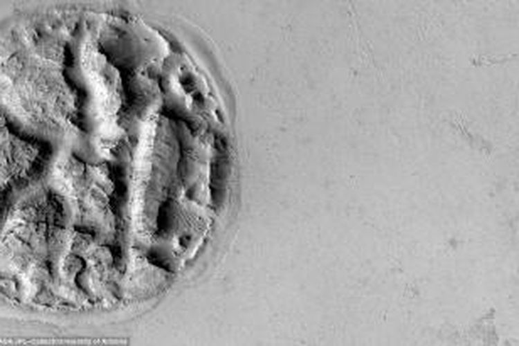 Fitur menyerupai otak manusia di Lembah Athabasca, Mars. 