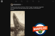 INFOGRAFIK: Manipulasi Foto Ikan Raksasa Bernama Hoggie, Simak Penjelasannya