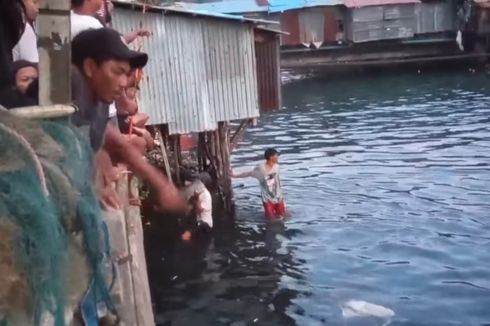 Viral, Video Warga Ambon Ramai-ramai Tangkap Ikan Bubara yang Terjebak di Sungai, Ini Kata Ahli
