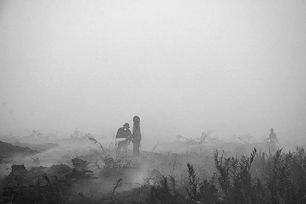 Kebakaran lahan menyelimuti kawasan perkebunan sawit di Desa Seponjen, Kecamatan Kumpeh Ilir, Kabupaten Muaro Jambi, Jambi, Minggu (4/9/2011). Tingginya pergerakan angin mempermudah penyebaran api di lahan gambut ini. Tampak, petugas Manggala Agni tengah memadamkan kebakaran.