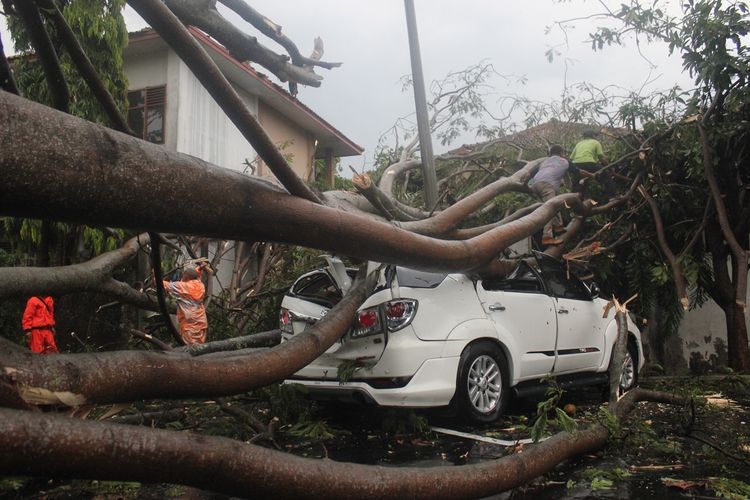 Sebuah kendaraaan yang terparkir di halaman Pendopo Bupati Cianjur rusak parah akibat tertimpa pohon besar saat terjadi hujan deras disertai angin kencang di kawasan perkotaan di Kabupaten Cianjur, Jawa Barat, Kamis (17/10/2019) petang.