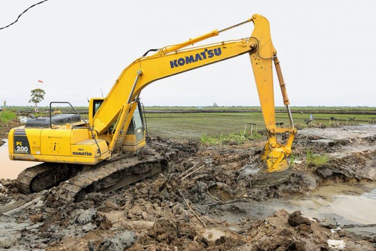 Lahan rawa di Kabupaten Barito Kuala, Kalimantan Selatan 