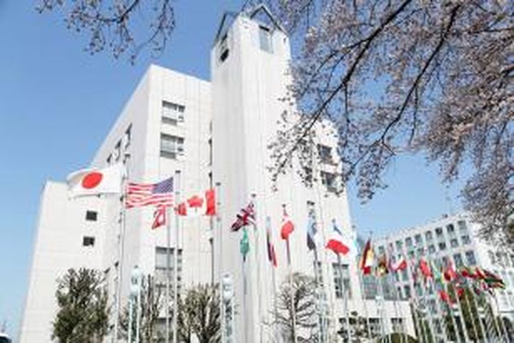 Tokyo International University atau TIU didirikan pada 1965, dan memiliki lima fakultas untuk program S-1 dan empat Fakultas untuk program S-2. Saat ini seluruh mahasiswa TIU berjumlah sekitar 6.000 mahasiswa, termasuk di dalamnya 700 mahasiswa asing dari lebih dari 30 negara.