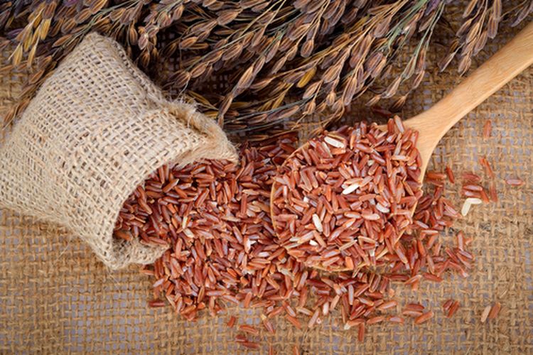 Ilustrasi beras merah