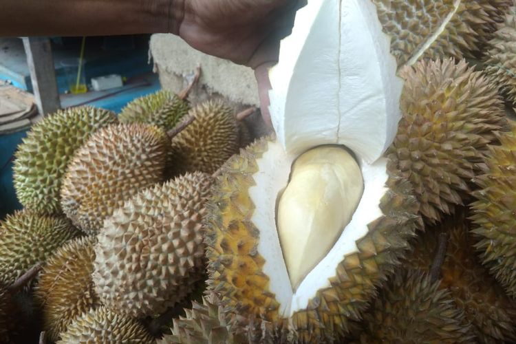 Paul menunjukkan buah durian yang sudah dibelahnya kepada pembeli. Ia menunjukkan juga cara membelah durian yang benar.