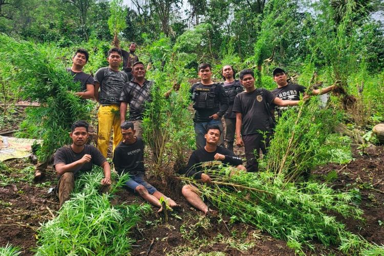 Polres Empat Lawang menemukan ladang ganja seluas 2 hekatre yang ditanam di kawasan perbukitan.