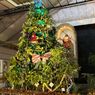 Gereja Kristus Raja Surabaya Rangkai Tanaman Buah Jadi Pohon Natal