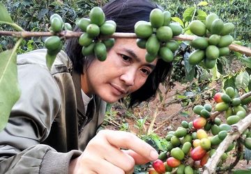 BNI Jejak Kopi Khatulistiwa Dukung Kopi Garut Swasembada Pangan dan Go Global