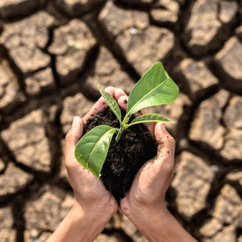 Ilustrasi krisis iklim.