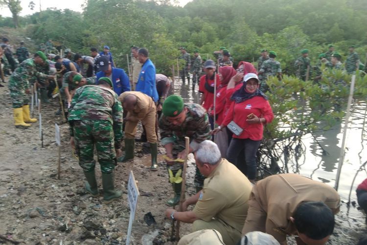 Proses penanaman mangrove di Pantai Cemara, Banyuwangi, Jumat (21/7/2023)