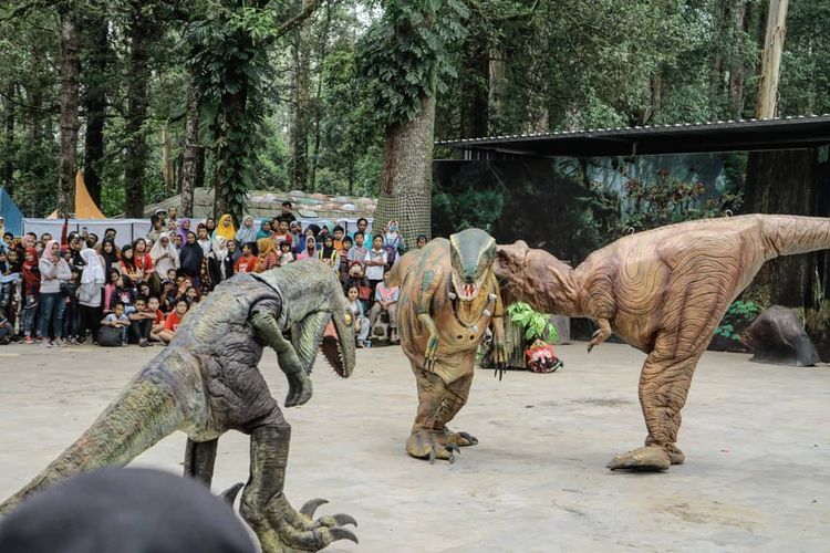 Para dinosaurus yang berinteraksi dengan wisatawan di tempat wisata di Magetan, Jawa Timur bernama Mojosesemi Dinosaurus Park.