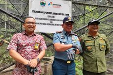 Puluhan Kakaktua hingga Nuri Endemik Papua Barat Dilepasliarkan, Sebagian dari Penertiban Peredaran Ilegal