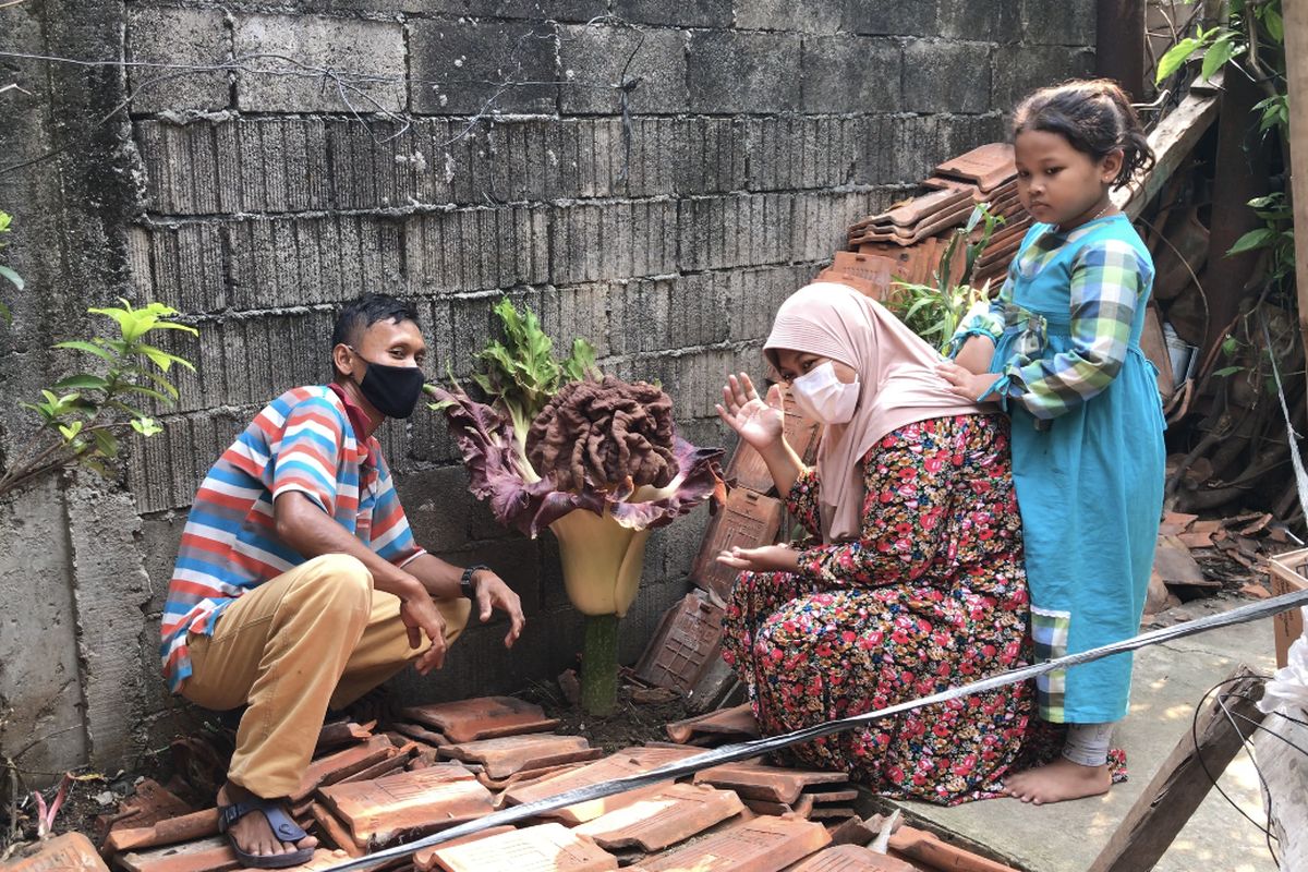 Keluarga pemilik pekarangan rumah tempat tumbuhnya tanaman mirip bunga bangkai di Jalan Bunga Rampai RT 011 RW 03 Cipete Selatan, Cilandak, Jakarta Selatan pada Selasa (12/10/2021) siang.