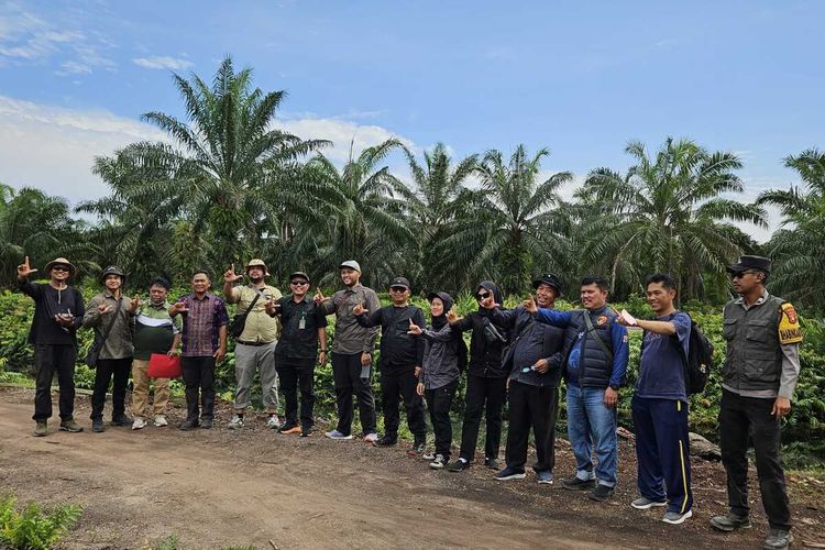Kabulkan Gugatan, Pengadilan Negeri Bengkalis Perintahkan Tebang Sawit 13.000 Hektare di Kawasan Hutan