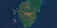 Pemerintah Cabut IUP 4 Perusahaan Tambang di Raja Ampat, Sekjen APNI: Bukan Anggota Kami