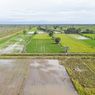 Dinas TPHP Kalteng Sebut Food Estate Bantu Tumbuhkan Indeks Pertanian dan Ekonomi Petani