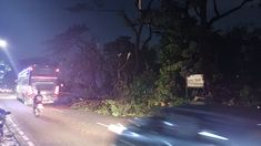 Pohon Tumbang Timpa 3 Mobil di Cipayung Jaktim