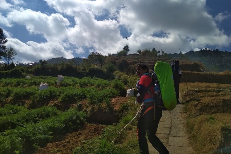 Jalur pendakian Gunung Prau via Igirmranak, pendaki akan melewati lahan pertanian milik warga.