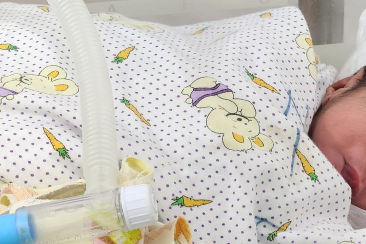 Pembuang Bayi Terbungkus Karung Bulog di Sentani Ditangkap