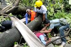 Cuaca Buruk di Makassar, 2 Buruh Bangunan Selamat Tertimpa Pohon Besar di Depan Pengadilan Negeri