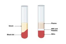 Perbedaan Serum dan Plasma Darah