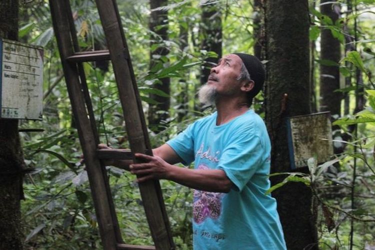 Secara berkala, Musimin berjalan jauh menembus hutan di kawasan Gunung Merapi untuk mengembalikan anggrek ke habitatnya.
