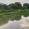 Fenomena Ikan Sungai Naik ke Permukaan, DLH Surabaya Duga Ada Penurunan Oksigen Terlarut