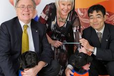 Australia Kirim Anjing Terlatih untuk Bantu Penyandang Tunanetra di Jepang