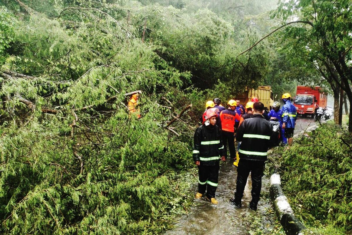 Petugas pemadam kebakaran (Damkar) Satpol PP Provinsi Gorontalo dan Badan Penanggulangan Bencana Daerah (BPBD) Kota Gorontalo membuka akses jalan yang tertutup pohon tumbang di kawan perkantoran DPRD dan Kantor Gubernur Gorontalo.