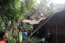 Viral Video Kayu Gelondongan Terbawa Arus Banjir, Walhi Soroti Kerusakan Hutan Batang Toru