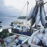 Pelanggaran dalam Penangkapan Ikan Terukur, KKP Bakal Denda sampai Cabut Izin Usaha 