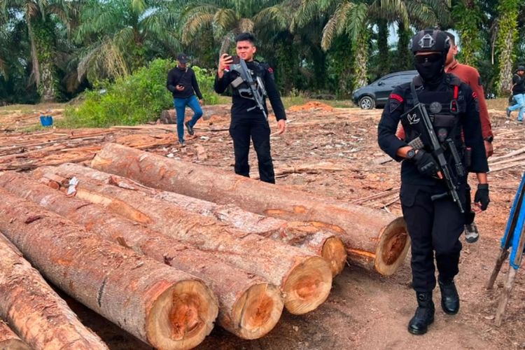 Pemodal Illegal Logging di Riau Ditangkap, Buron Sejak 2024