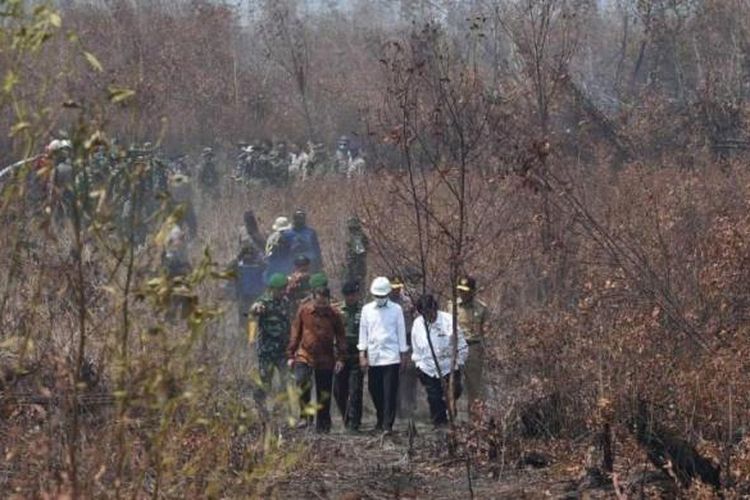 Presiden Joko Widodo (depan) dan pejabat pemerintah, melakukan inspeksi kebakaran hutan gambut di Sambang Lihum, Kalimatan Selatan, 23 September 2015.