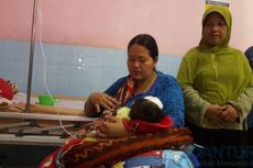 Bayi 40 Hari Jadi Korban Serangan Kera Liar di Probolinggo