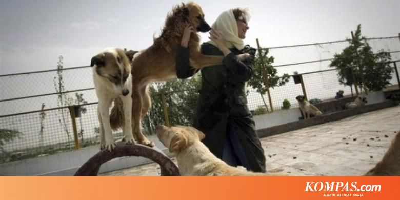 Pemerintah Iran Larang Warga Pelihara Anjing Halaman All Kompas Com