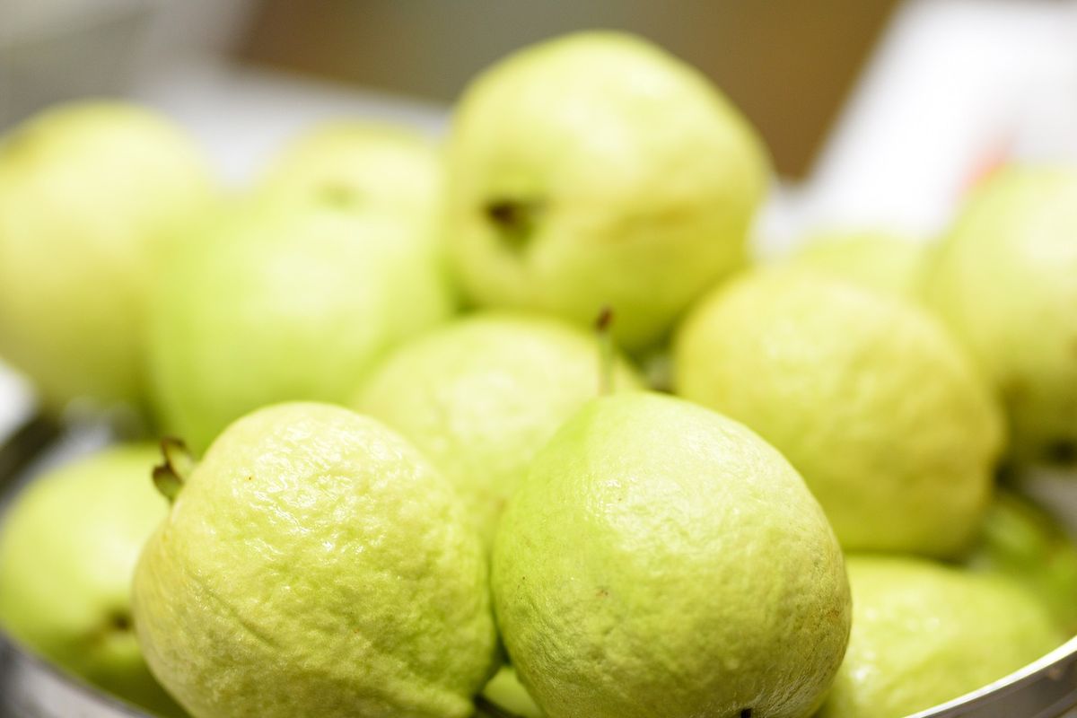 Ilustrasi jambu kristal.