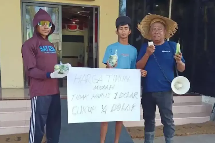 Harga Timun Anjlok Rp 1.000 Per Kg, Petani Jember Gelar Aksi Bagi-bagi 2 Kuintal Gratis
